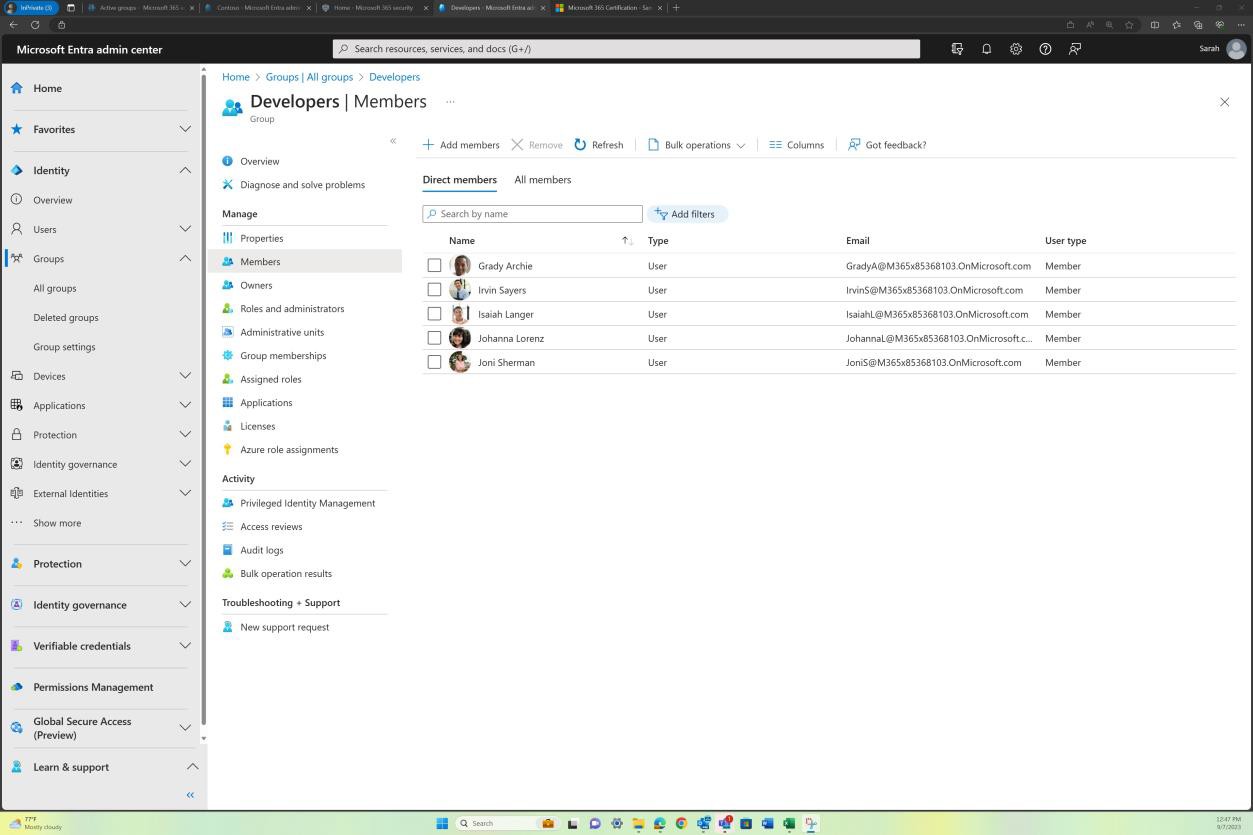 Interfaccia di amministrazione di Microsoft Entra gli sviluppatori raggruppano i membri con 5 utenti elencati.