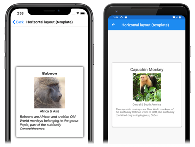 Elementi basati su modelli in un controllo CarouselView Screenshot di CarouselView in cui ogni elemento è basato su modelli, in iOS e Android