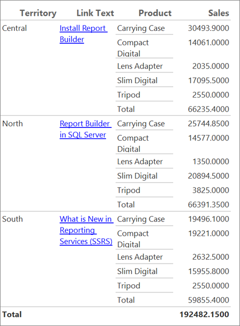 Screenshot che mostra il testo con collegamento ipertestuale nel report di Report Builder.