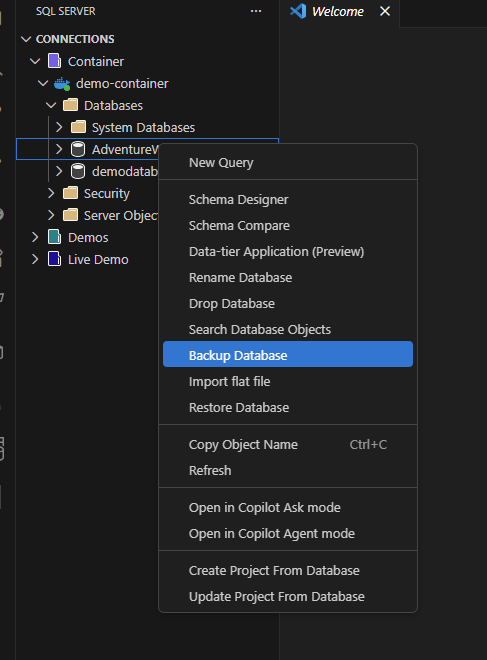 Screenshot dell'opzione Backup database nel menu di scelta rapida Esplora oggetti.
