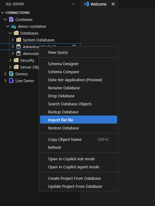 Screenshot dell'opzione Importa file flat nel menu di scelta rapida dell'Esplora Oggetti.