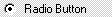 Screenshot di VisualStudioHTMLpageRadioButton.