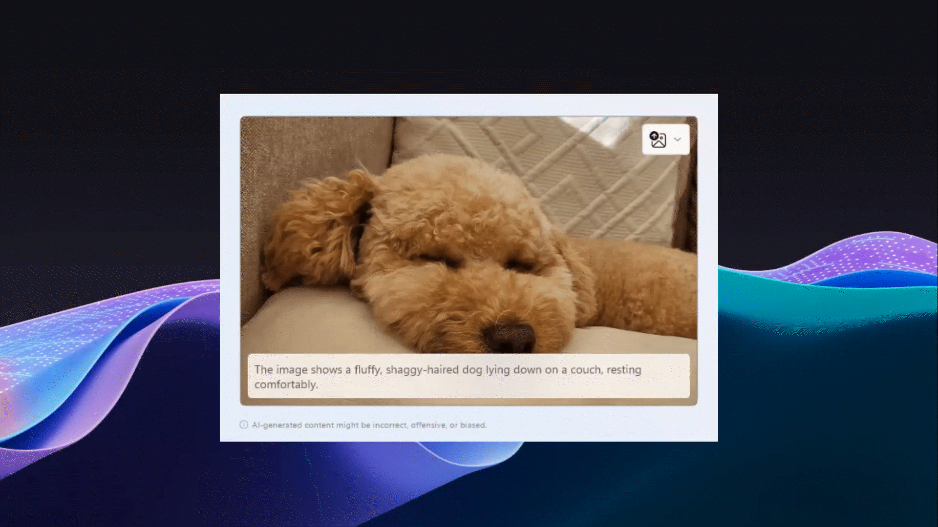 Gif animata che mostra un cane che dorme e che fa apparire una descrizione dell'immagine utilizzando il linguaggio naturale: un cane fluffy e dal pelo arruffato sdraiato su un divano a riposare comodamente, usando la funzionalità Descrizione immagine.