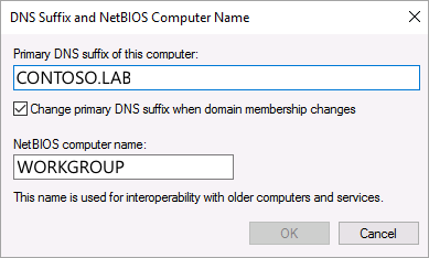 正常に構成された DNS サフィックスのスクリーンショット。