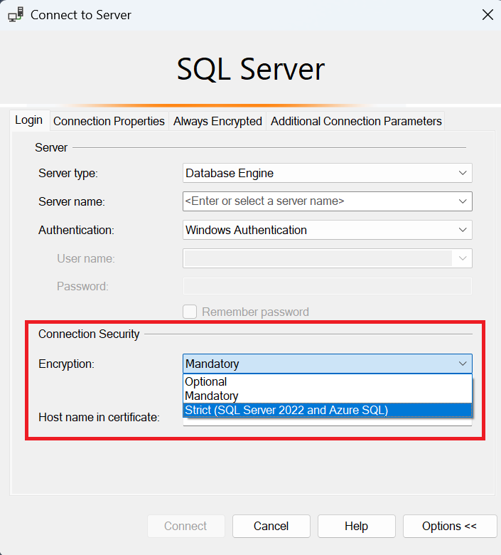 SQL Server Management Studio の [サーバーへの接続] ダイアログ ボックスのスクリーンショット。