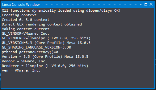 Captura de tela da Janela de Console do Visual Studio Linux.