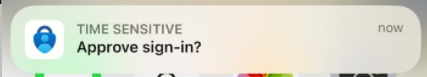 Captura de tela que mostra a solicitação de aprovação por telefone.
