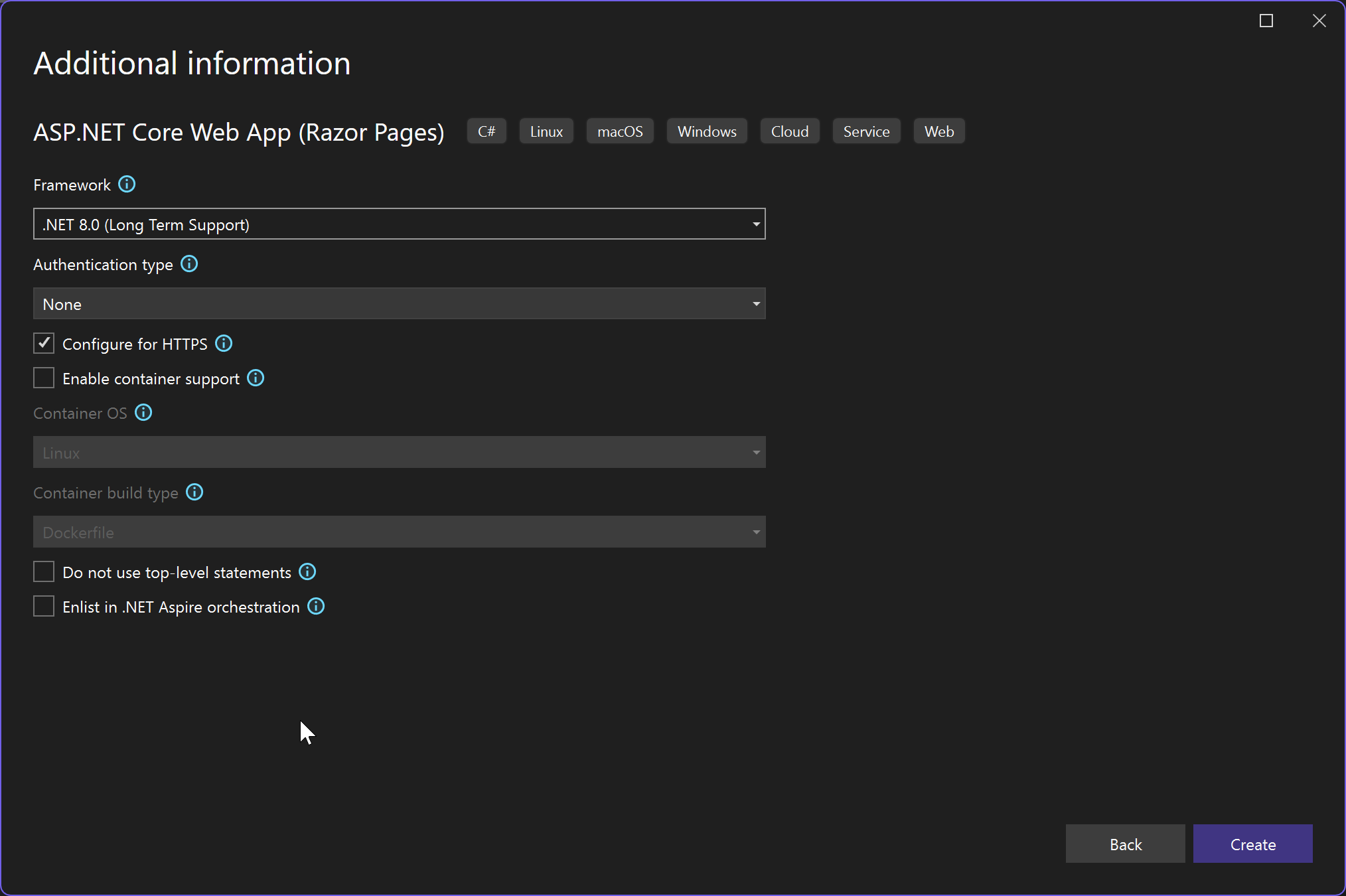Captura de tela da tela Informações Adicionais ao criar um projeto Web. A opção para habilitar o suporte ao contêiner não está selecionada.