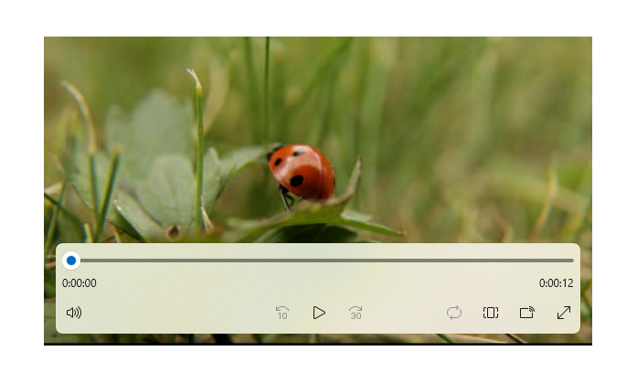 Uma captura de tela de um elemento do reprodutor de mídia com controles de transporte reproduzindo um vídeo de uma joaninha