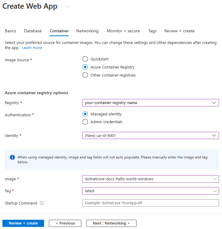 Captura de ecrã que mostra as opções do Azure Container Register.