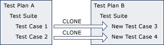 Imagem conceitual, plano de teste de clonagem.