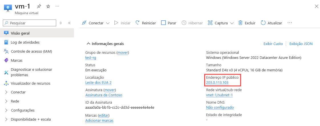 Captura de tela do endereço IP público de uma máquina virtual na página Visão geral.