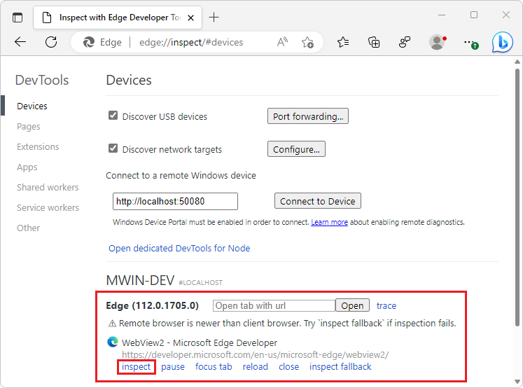 Ligar ao WebView2