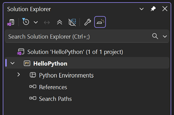 Captura de tela mostrando o projeto Python Web vazio recém-criado no Gerenciador de Soluções.