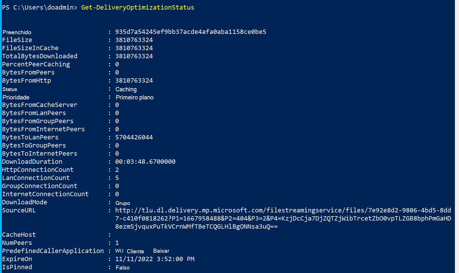 Windows 10 21H2 – Computador 1 – Advanced BytesToPeers Test.