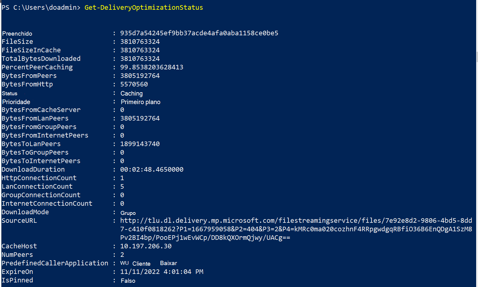 Windows 10 21H2 – Computador 2 – Advanced BytesToPeers Test.